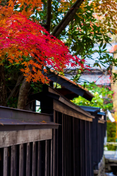 istock beautiful autumn leaf colors in japan,samurai residence 1188320254