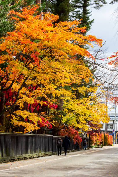 istock beautiful autumn leaf colors in japan,samurai residence 1188320269