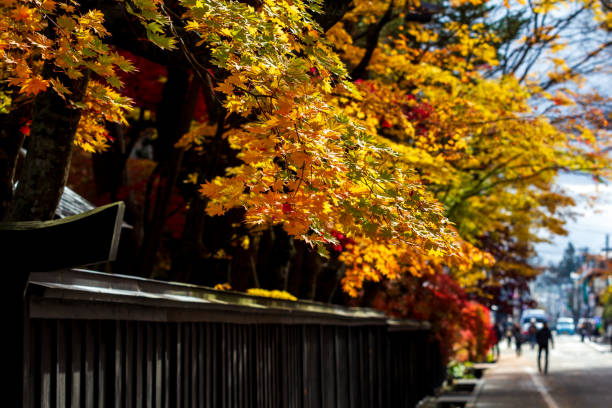 istock beautiful autumn leaf colors in japan,samurai residence 1188320331
