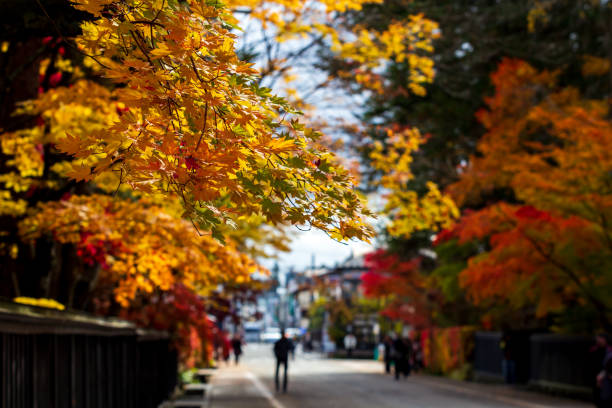 istock beautiful autumn leaf colors in japan,samurai residence 1188320839