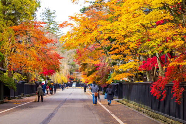 istock beautiful autumn leaf colors in japan,samurai residence 1188321385