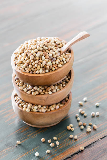 Organic Dried coriander seeds (Coriandrum sativum) in wooden bowls. Organic Dried coriander seeds (Coriandrum sativum) in wooden bowls with spoon on rustic background. Healthy eating, Indian spice, flavoring, vitamin. coriander seed stock pictures, royalty-free photos & images