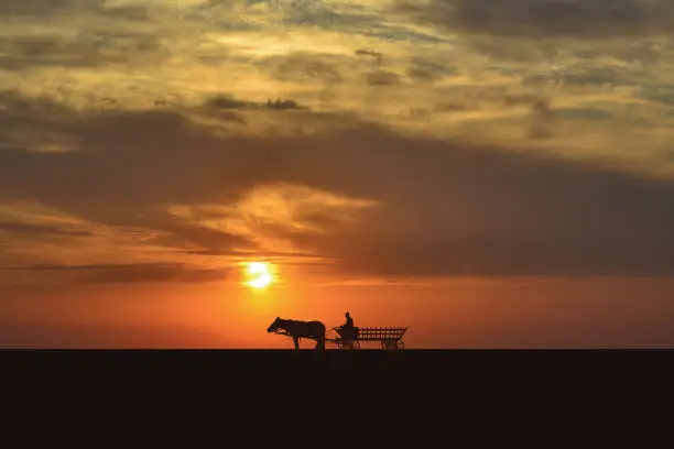 Photo of Wagon silhouette at sunset
