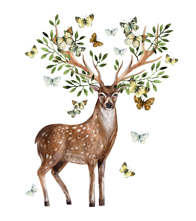 Hand painted watercolor deer antlers with leafs, branches, butterfly isolated on white background. Animal art illustration for invitation, wedding, greeting cards. Wildlife concept for hipster design