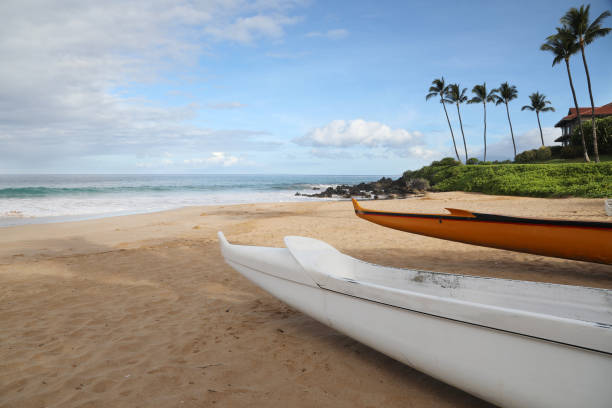 istock Sand Beach in Maui 1188324299