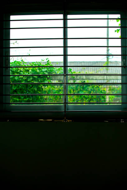istock The scenery Look out of the window 1188325756
