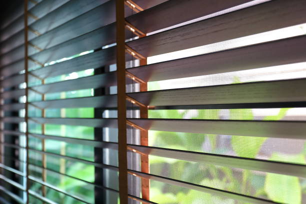 istock brown blind shade and mosquito wire screen on window, interior design decoration in home office 1188325833