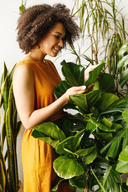 istock Side view of woman gardener working with plants at her workshop 1188325992