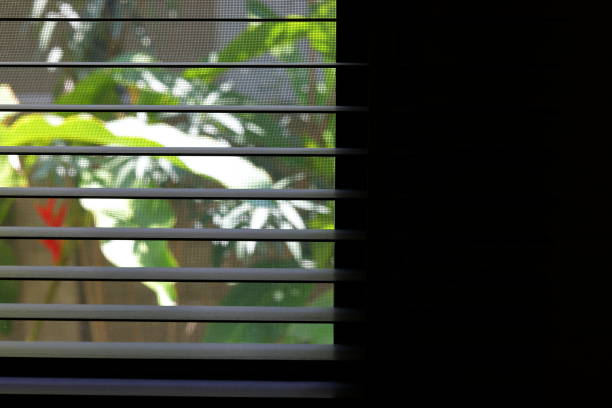 istock brown blind shade and mosquito wire screen on window, interior design decoration in home office 1188326955