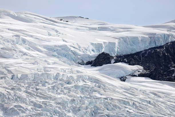 istock Rob Roy Glacier in Mount Aspiring National Park 1188329567
