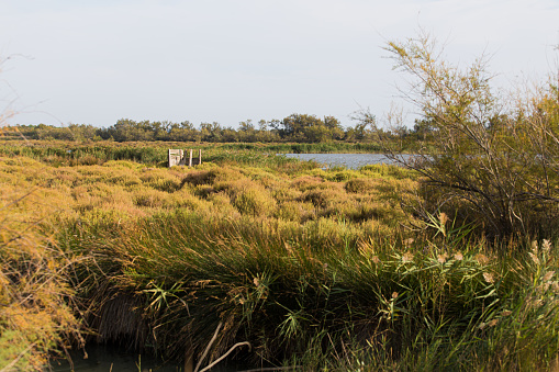 Wooden hide spot on a bushland wetlands for bird watching in La Camargue wetlands, France
