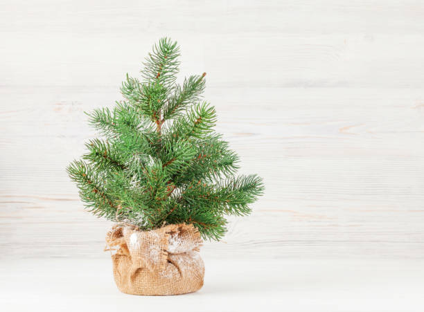 istock Christmas card with fir tree 1188330820