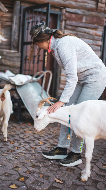 istock goat loving woman 1188333498