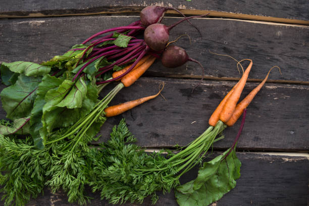 istock Raw organic vegetables carrot and beetroot on the table. Healthy clean eating. Different colorful vegetables on wooden board. 1188343671