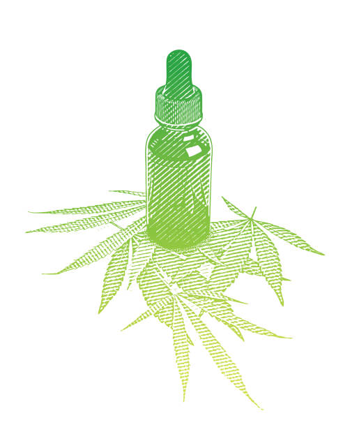 illustrazioni stock, clip art, cartoni animati e icone di tendenza di bottiglia di olio di cbd con foglie di canapa - nutritional supplement herbal medicine pill nature