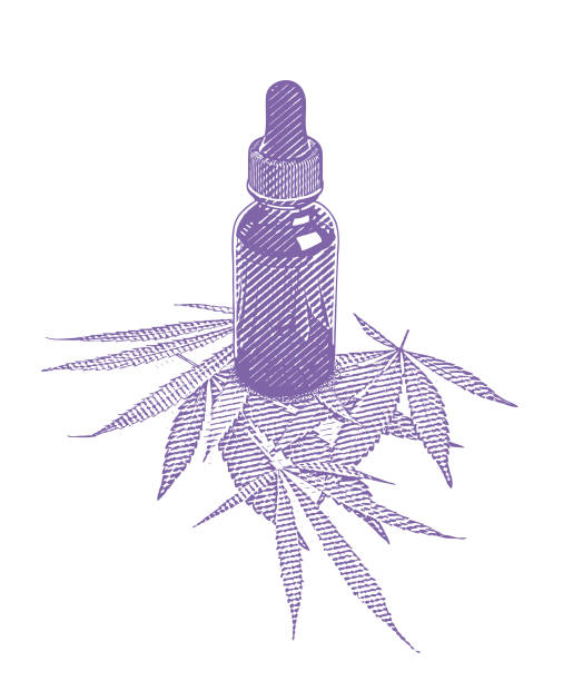 ilustrações de stock, clip art, desenhos animados e ícones de bottle of cbd oil with hemp leaves - nutritional supplement herbal medicine pill nature