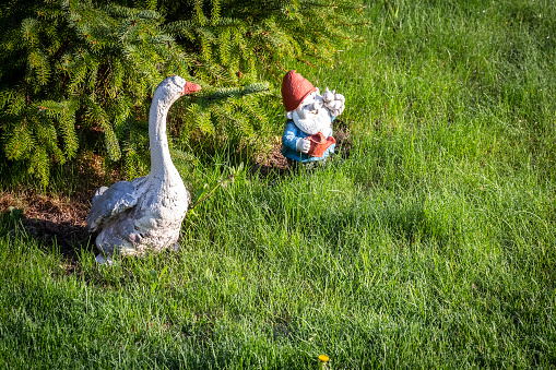 Old plaster garden figurines on the lawn in the backyard.