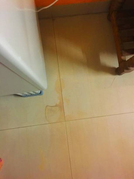 istock Water damage on the floor 1188360091