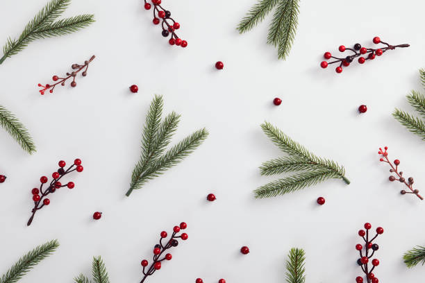 istock Evergreen tree branch and red berries 1188361794