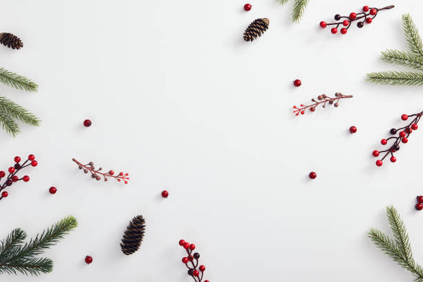 istock Evergreen tree branch and red berries 1188361835