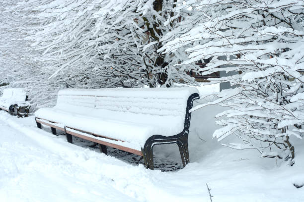 Peaceful park with strong falling snow in the winter.