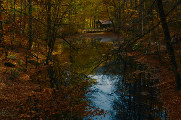 istock Yedigoller National Park 1188363720