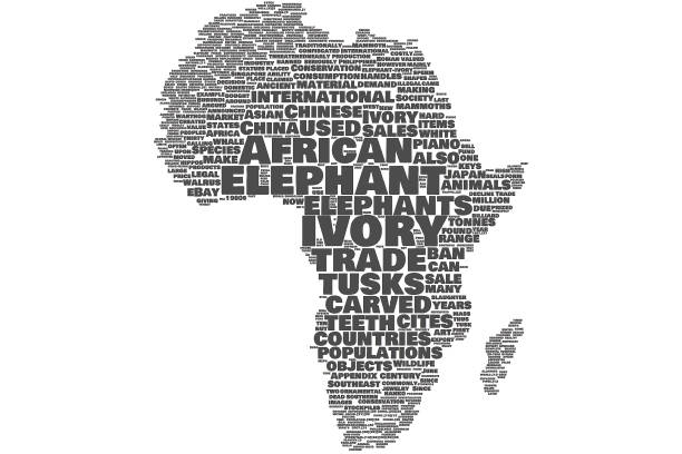 istock Ivory and elephant in the Africa map word cloud 1188365994