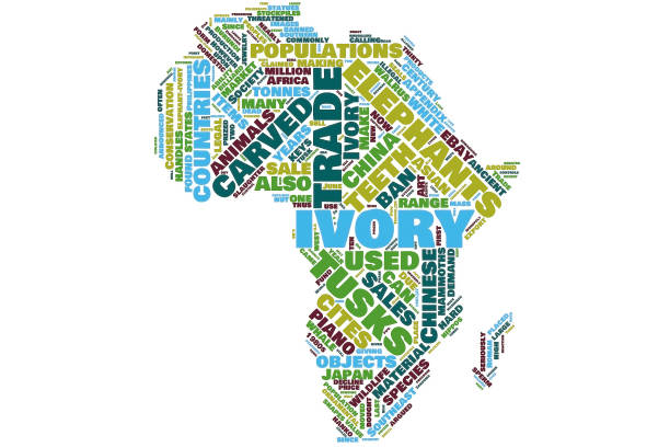 istock Ivory and elephant in the Africa map word cloud 1188366175