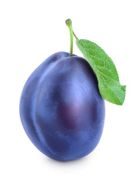 istock fresh plum with leaves isolated on white background 1188367704
