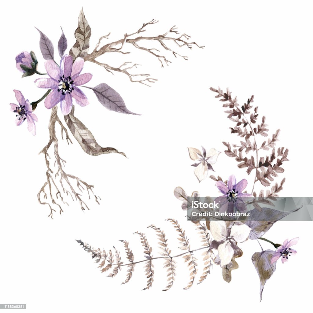Ilustración de Composiciones Místicas De Acuarela Flores Y Plantas Marrón Y Violeta y más Vectores Libres de Derechos de Diseño floral - iStock Ilustración de Composiciones Místicas De Acuarela Flores Y Plantas Marrón Y Violeta y más Vectores Libres de Derechos de Diseño floral - iStock