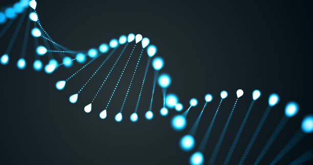 spirala helix dna, cząsteczka chromosomu genu, komórka genetyczna 3d niebieska pętla światła na czarnym tle. cząsteczka dna do molekularnej nauki genetycznej, biotechnologii ludzkiego genomu i badań medycznych - genetic modified food stock illustrations