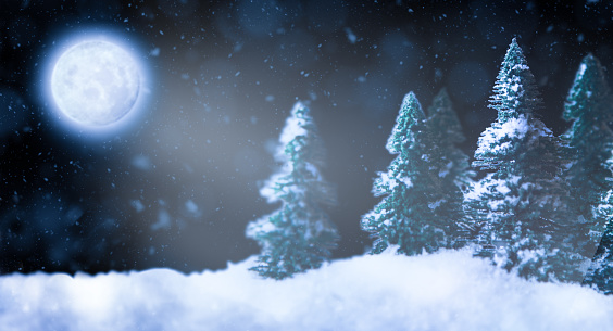 Christmas night with full moon, pine trees and snow