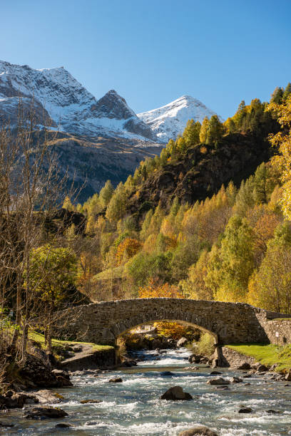 Bridge over the Gave de Gavarnie. in the French Pyrenees Bridge over the Gave de Gavarnie. in the French Pyrenees gavarnie stock pictures, royalty-free photos & images