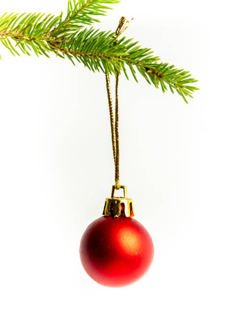 istock Christmas bauble isolated on fir branch 1188372548