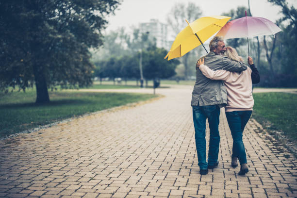 back view of embraced senior couple walking under umbrellas in nature. - umbrella senior adult couple autumn imagens e fotografias de stock