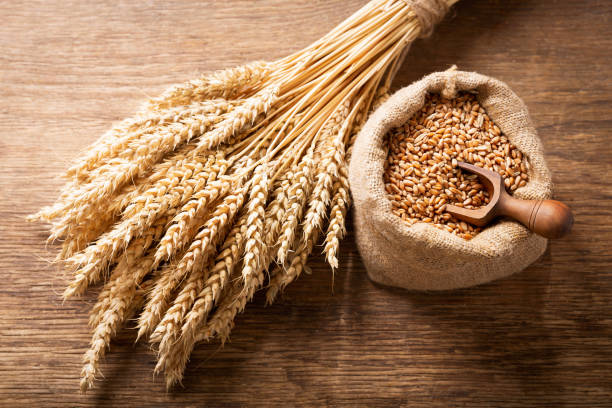 istock wheat ears and grains on a wooden table, 1188375207