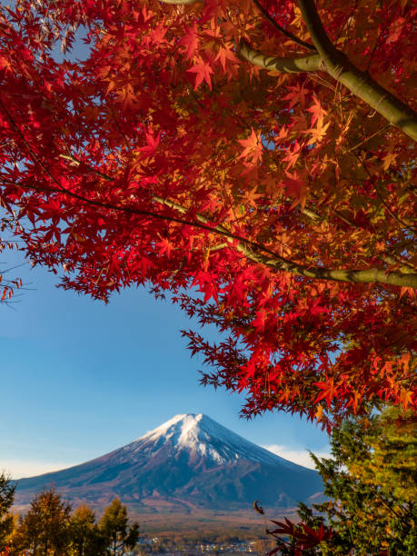 istock Mt Fuji in autumn 1188375748