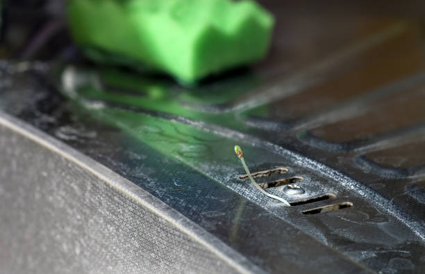 istock Small green sprout growing up through dirty kitchen sink 1188375781