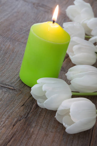 Easter decoration Green candles with white tulips as background