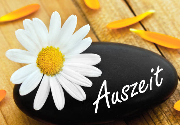 istock German time-out wellness stone with daisy on wood as background 1188376032