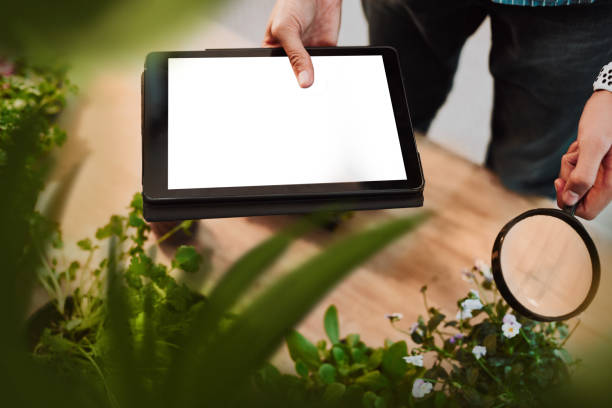 istock The internet is there to explain what he sees 1188376758
