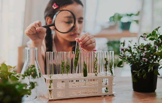 Cropped shot of an adorable little girl looking through a magnifying glass while analysing plants from a test tube at home