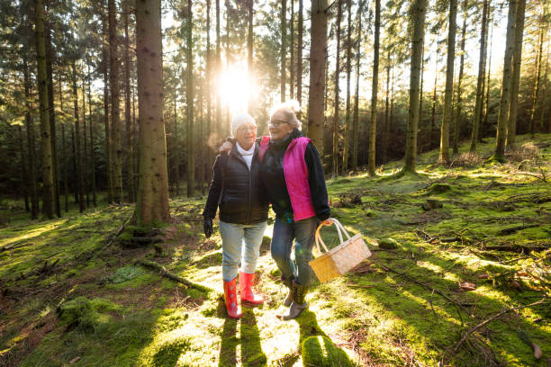 A couple of senior women are spending their day hiking through a pine forest in Sweden.