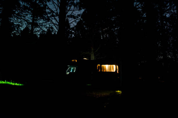 istock Camper van at night parked under the trees 1188376979
