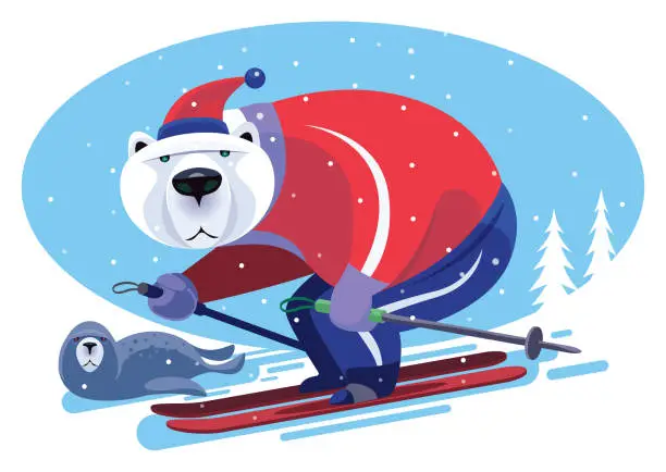 Vector illustration of polar bear skiing with seal