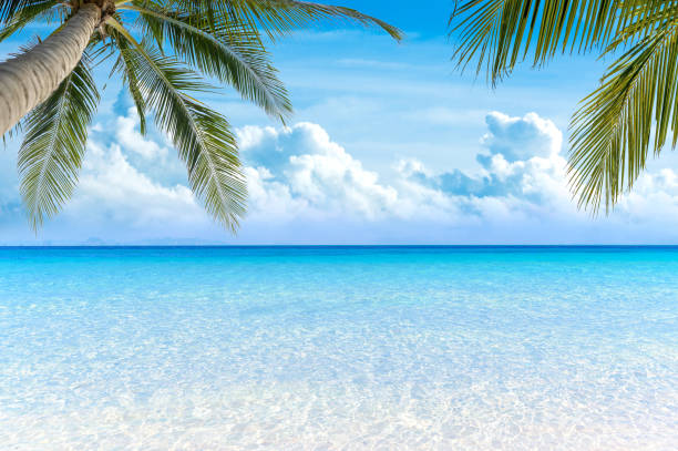 istock Sea view tropical sea with summer background. 1188378672