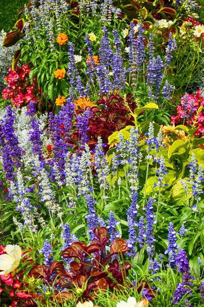 istock green summer garden 1188378689