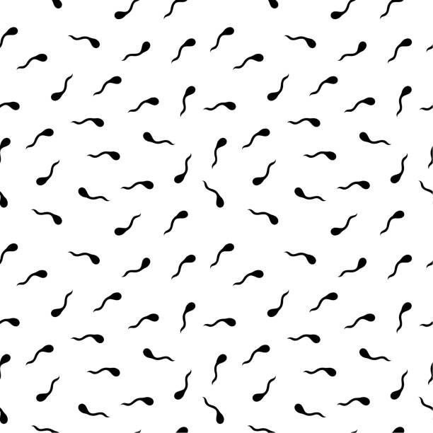 Seamless pattern: abstract black sperm on a white background. vector. Seamless pattern: abstract black sperm on a white background. vector. illustration human fertility stock illustrations