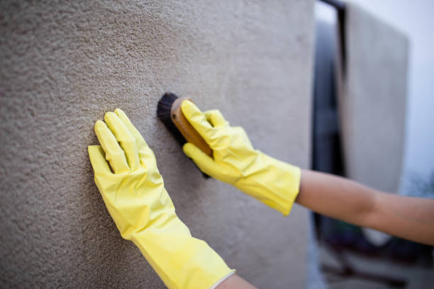 istock Woman washing carpet with brush 1188382500
