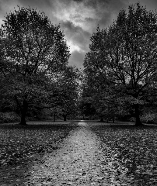istock Marbury Country Park 1188382739